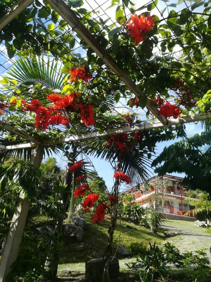 Finca Jardin Del Agua Sasaima Extérieur photo