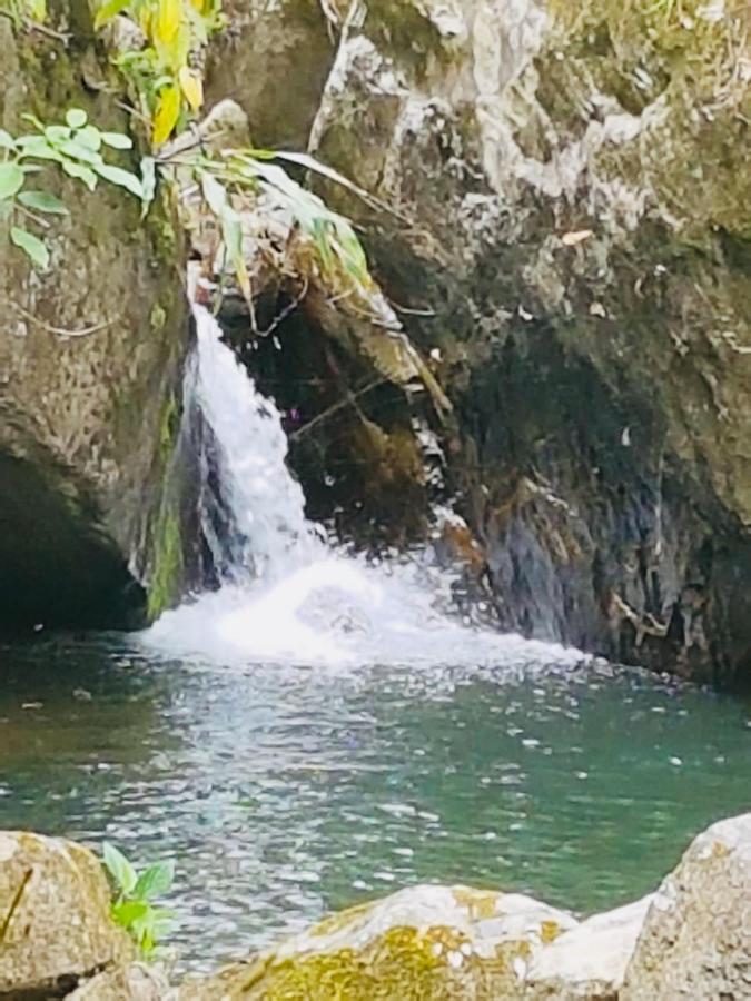 Villa Finca Jardin Del Agua à Sasaima Extérieur photo