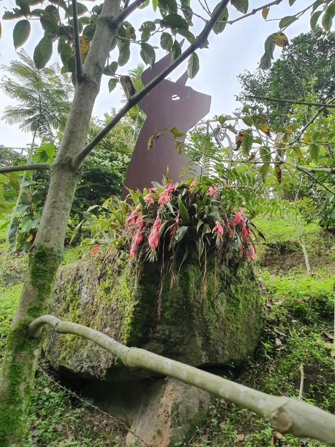 Villa Finca Jardin Del Agua à Sasaima Extérieur photo