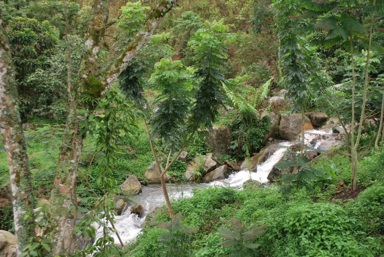 Villa Finca Jardin Del Agua à Sasaima Extérieur photo