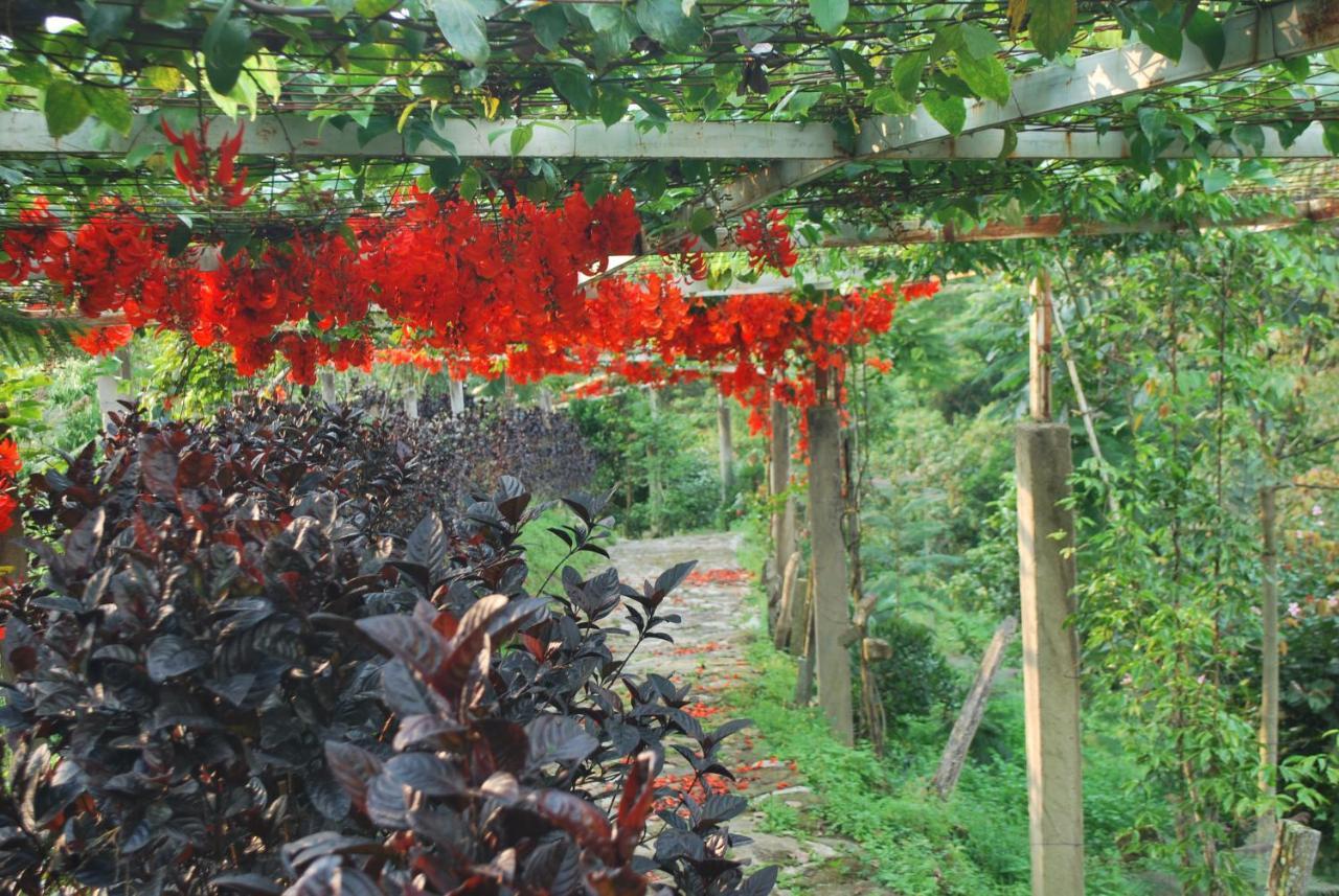 Villa Finca Jardin Del Agua à Sasaima Extérieur photo