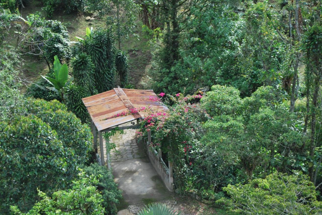 Finca Jardin Del Agua Sasaima Extérieur photo