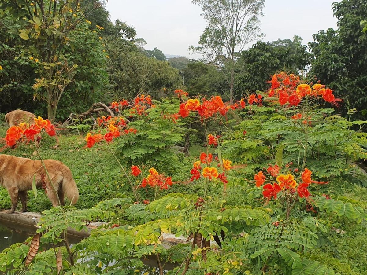 Finca Jardin Del Agua Sasaima Extérieur photo